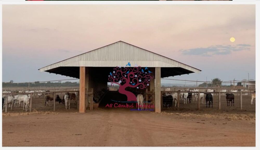 Fazenda à venda com 5 quartos, 4236m² - Foto 3