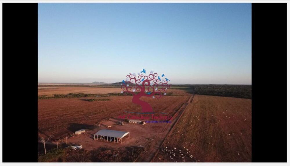 Fazenda à venda com 5 quartos, 4236m² - Foto 1