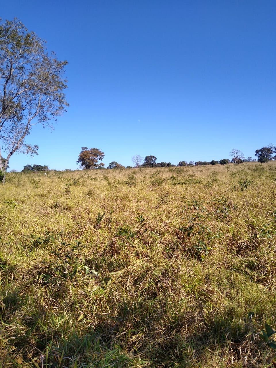 Fazenda à venda, 213m² - Foto 18