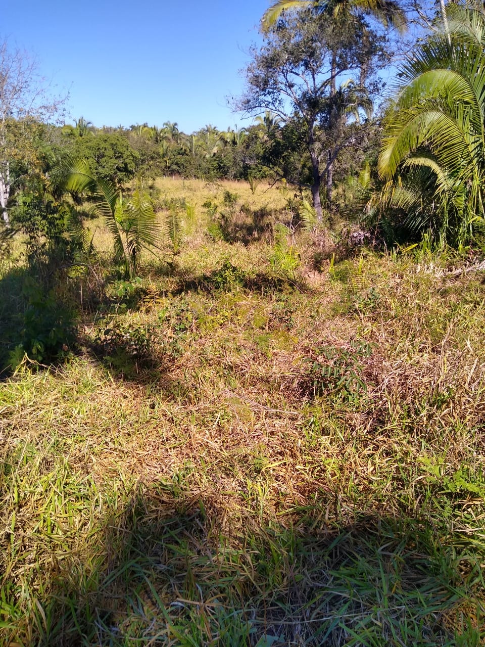 Fazenda à venda, 213m² - Foto 22