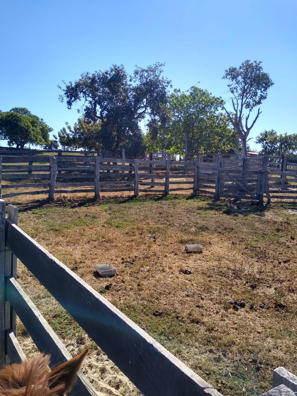 Fazenda à venda, 213m² - Foto 10