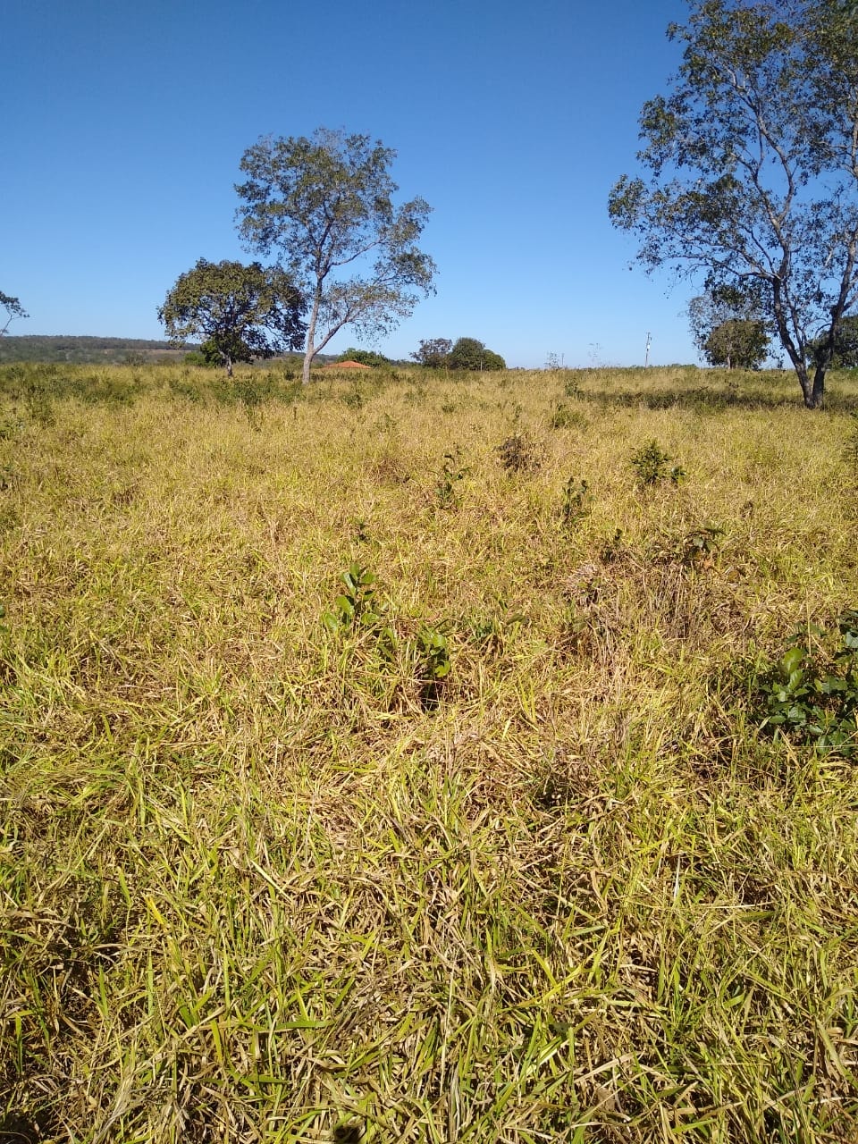 Fazenda à venda, 213m² - Foto 15