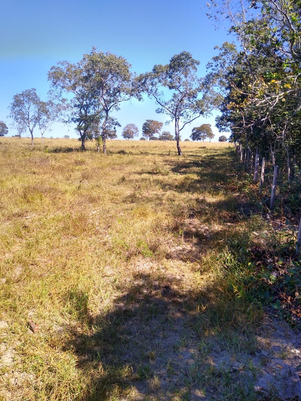 Fazenda à venda, 213m² - Foto 13