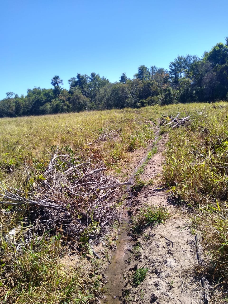 Fazenda à venda, 213m² - Foto 2