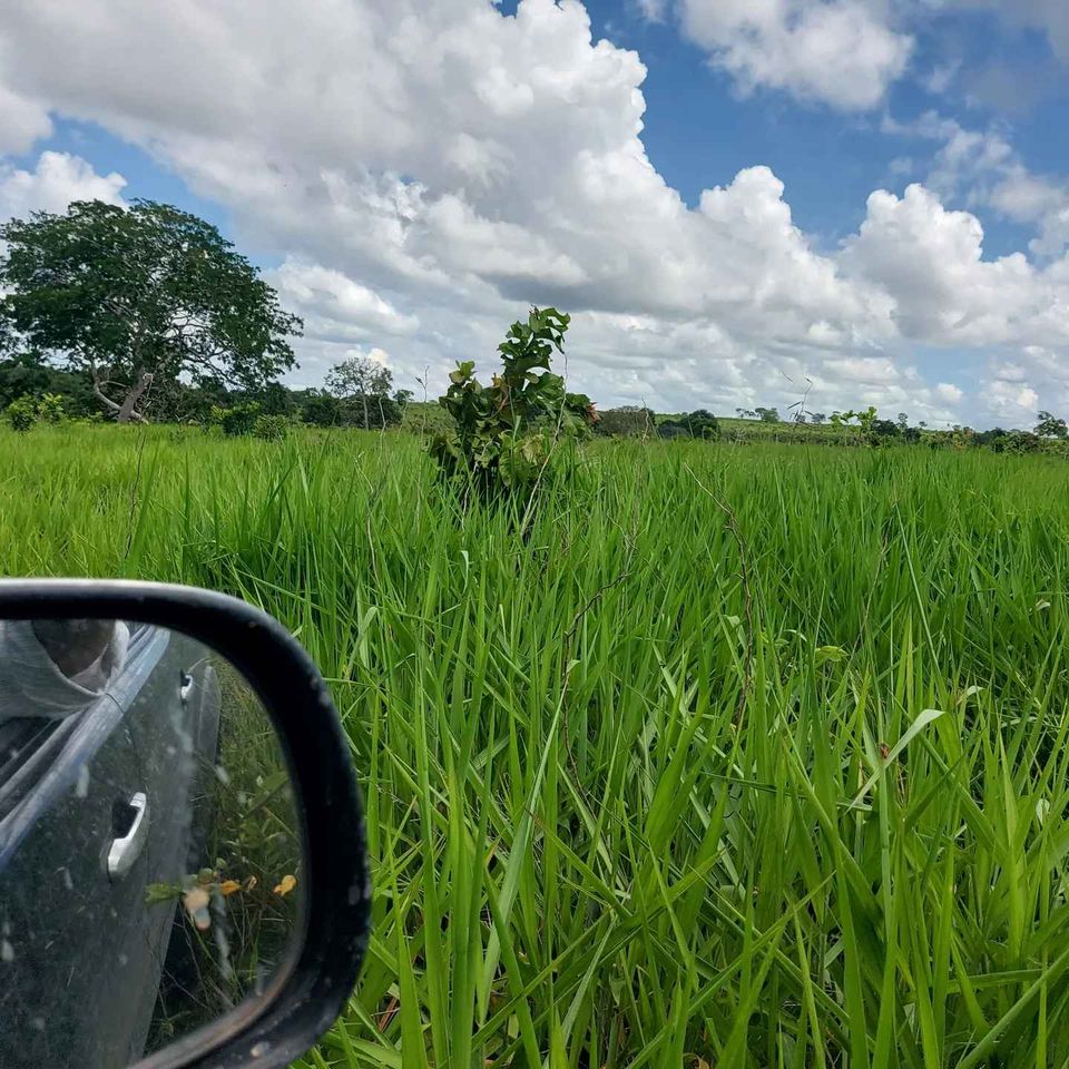 Fazenda à venda, 5200m² - Foto 9