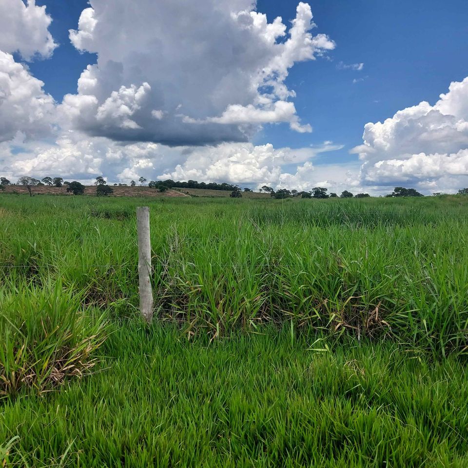 Fazenda à venda, 5200m² - Foto 4