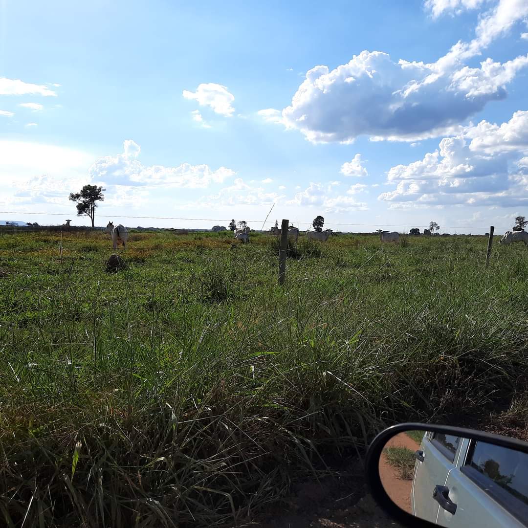 Fazenda à venda com 1 quarto, 1452hectare - Foto 4