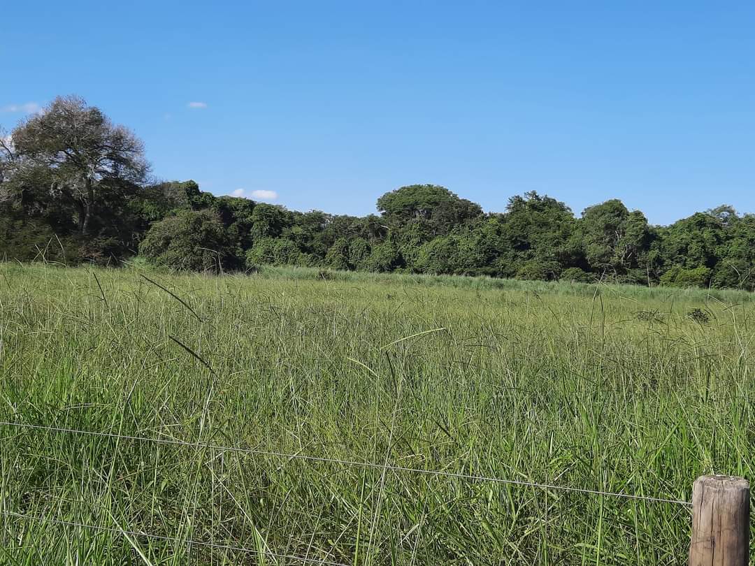 Fazenda à venda com 1 quarto, 1452hectare - Foto 8