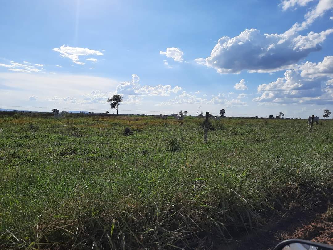 Fazenda à venda com 1 quarto, 1452hectare - Foto 5