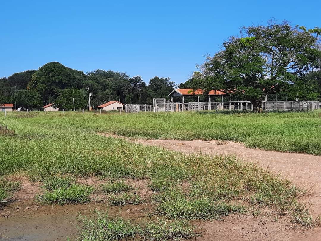 Fazenda à venda com 1 quarto, 1452hectare - Foto 1