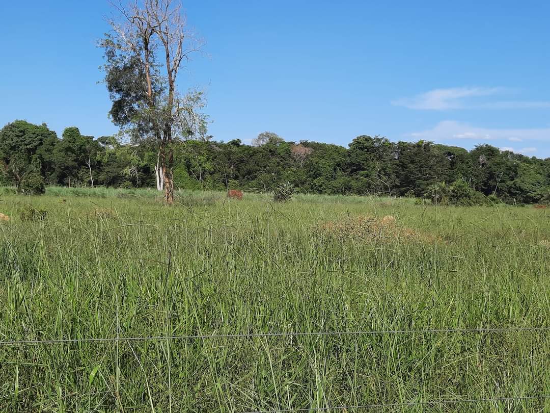 Fazenda à venda com 1 quarto, 1452hectare - Foto 2