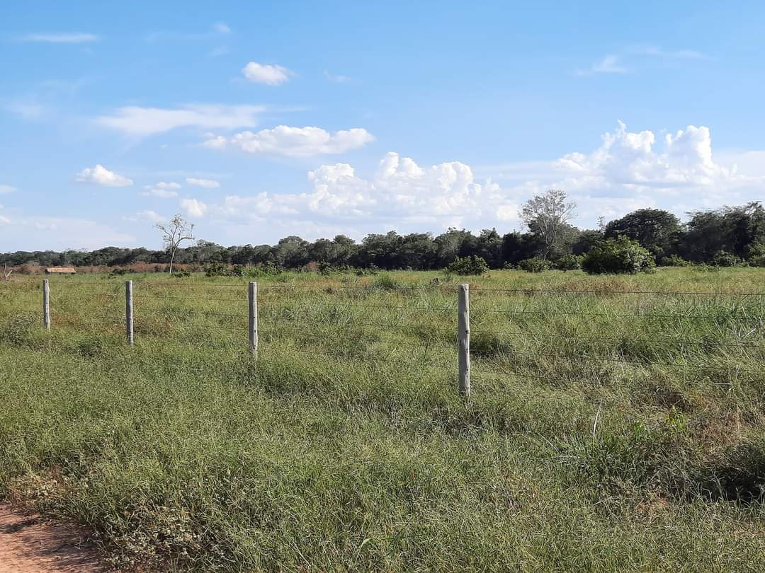 Fazenda à venda com 1 quarto, 1452hectare - Foto 3