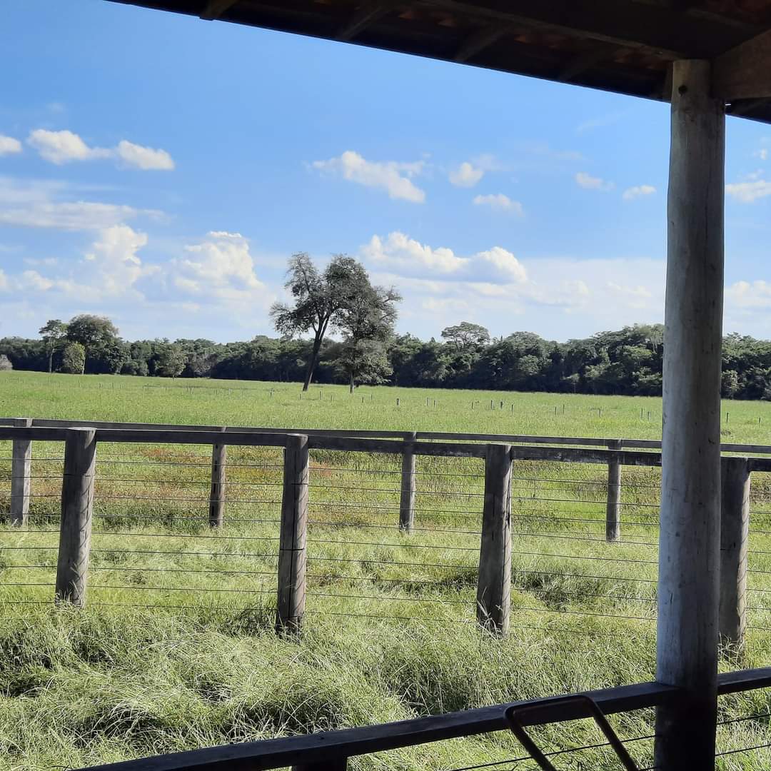 Fazenda à venda com 1 quarto, 1452hectare - Foto 6