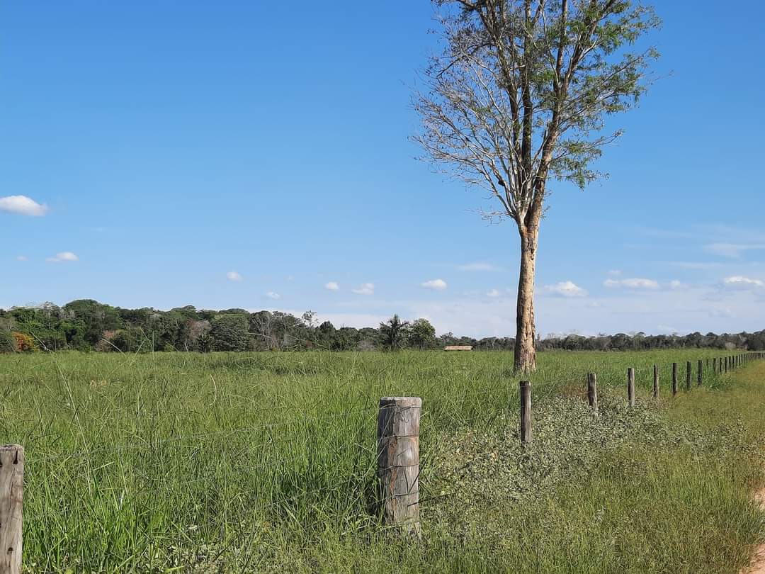 Fazenda à venda com 1 quarto, 1452hectare - Foto 9