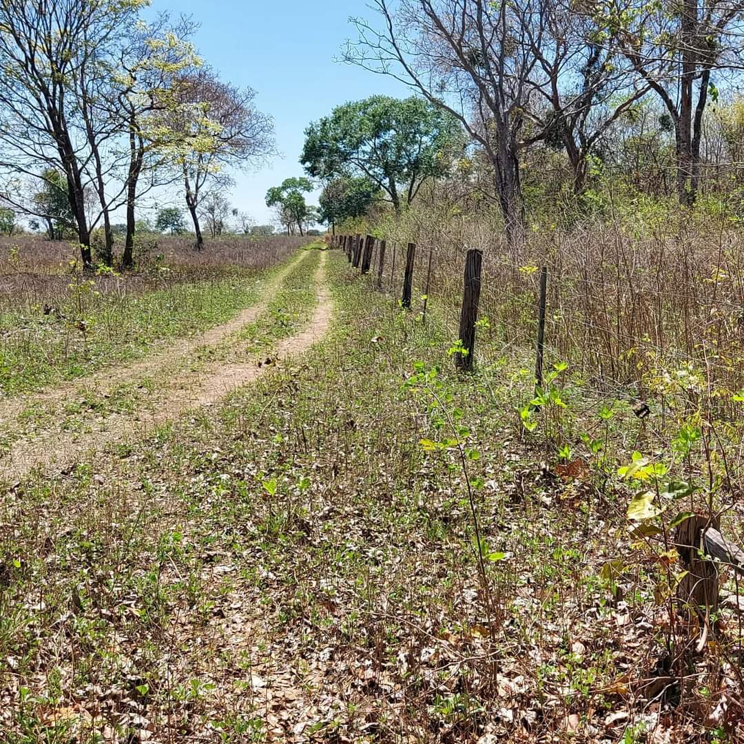 Fazenda à venda, 730m² - Foto 1