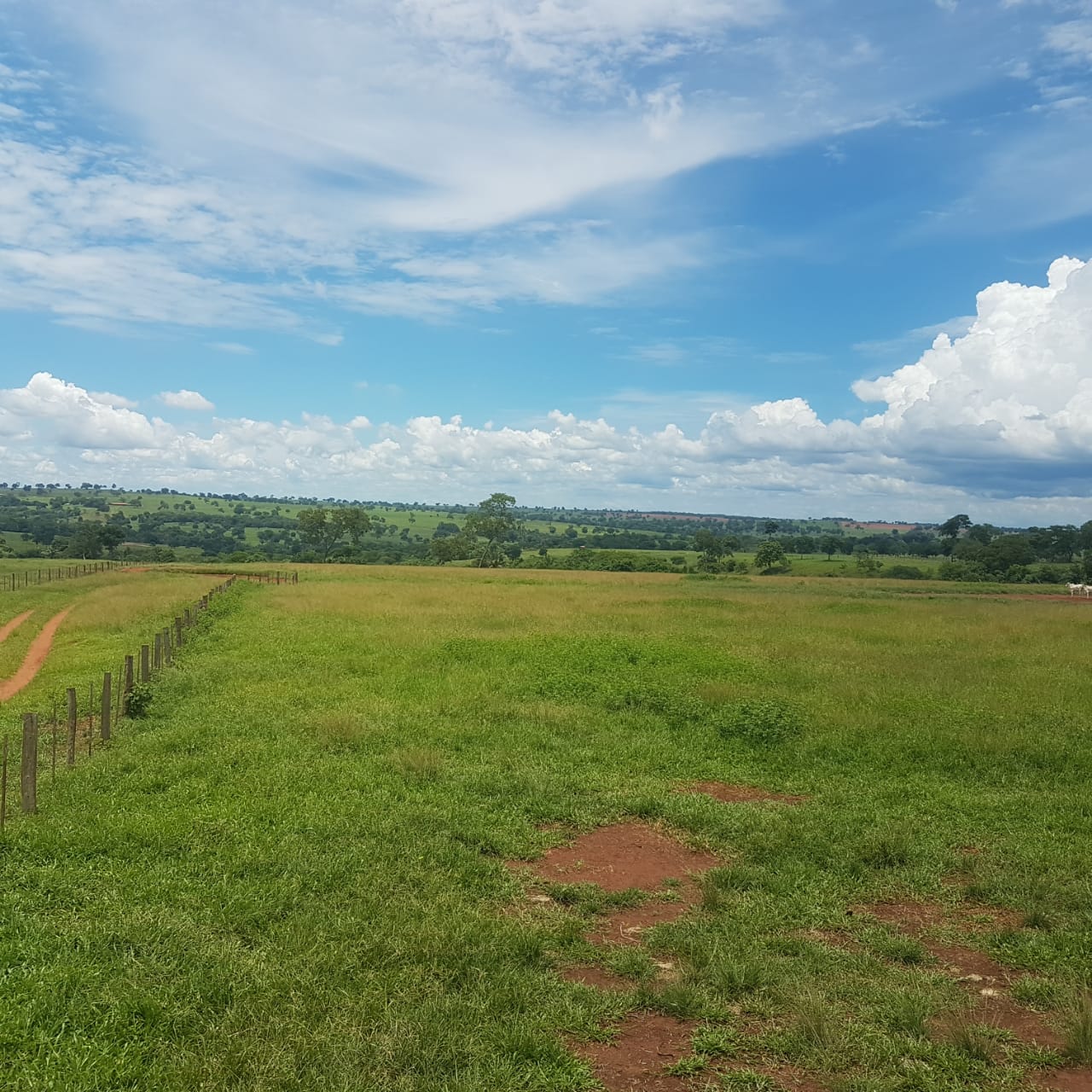 Fazenda à venda, 4250m² - Foto 15