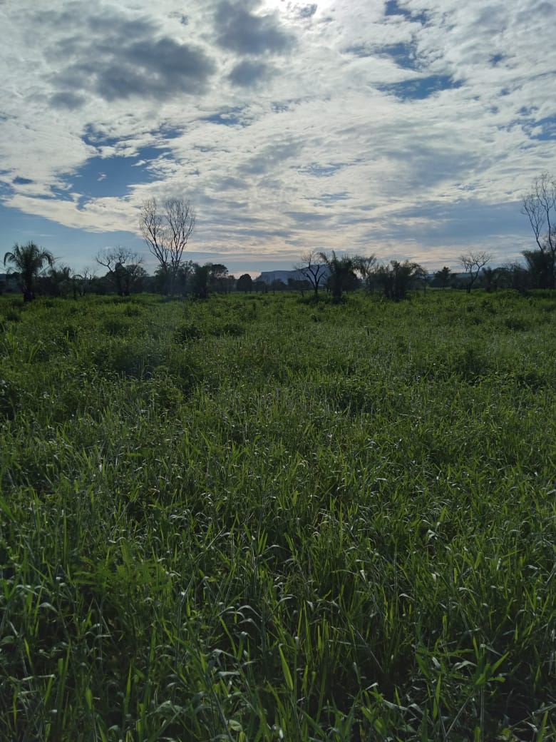 Fazenda à venda, 4250m² - Foto 25