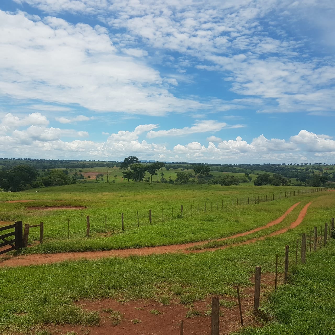 Fazenda à venda, 4250m² - Foto 10