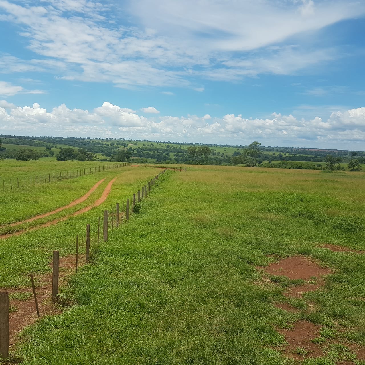 Fazenda à venda, 4250m² - Foto 17