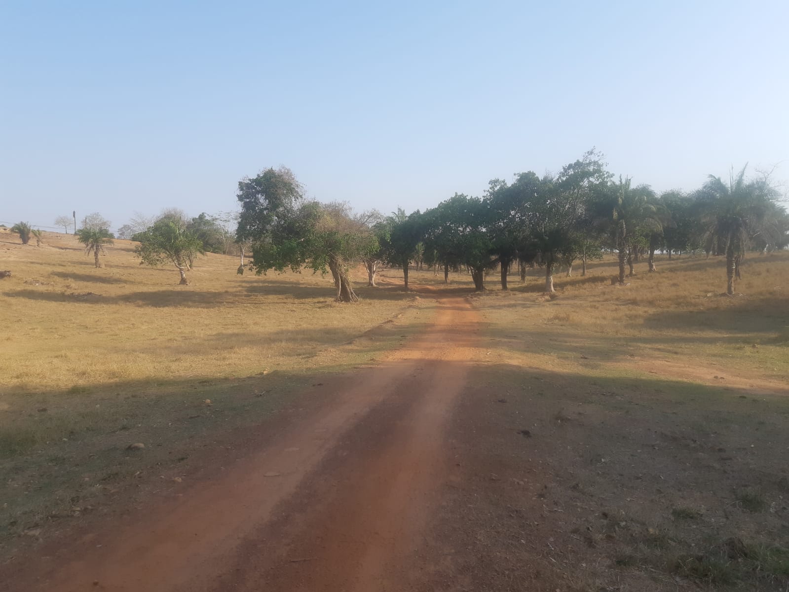 Fazenda à venda, 4250m² - Foto 6