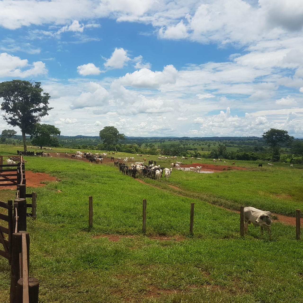 Fazenda à venda, 4250m² - Foto 2