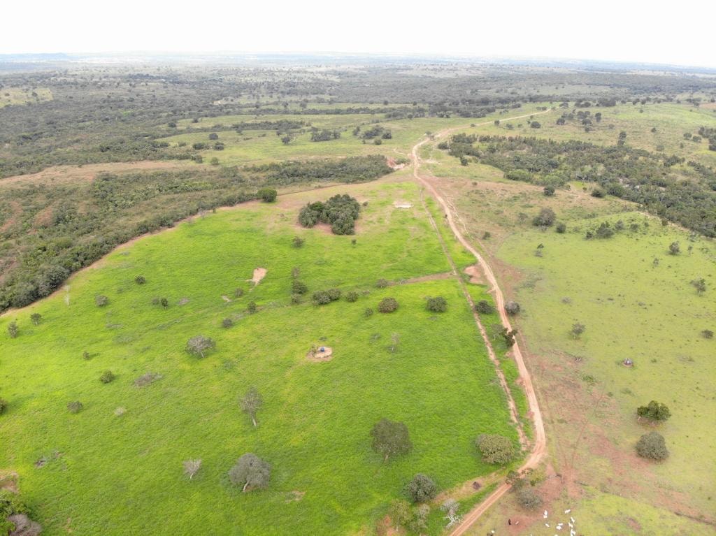 Fazenda à venda, 1120m² - Foto 6