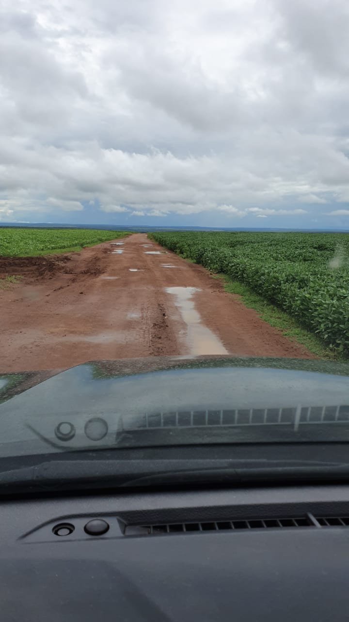 Fazenda à venda, 12000m² - Foto 11