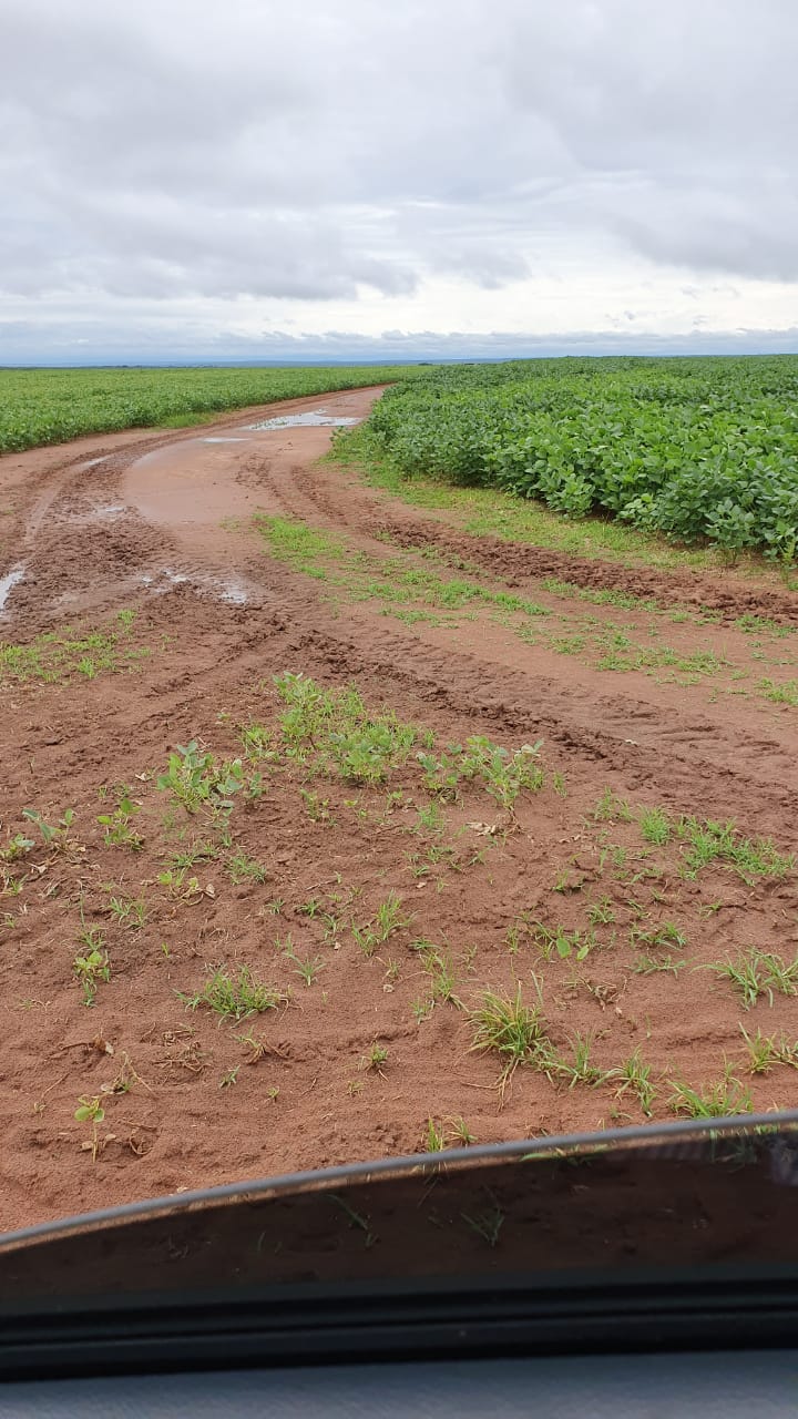 Fazenda à venda, 12000m² - Foto 3