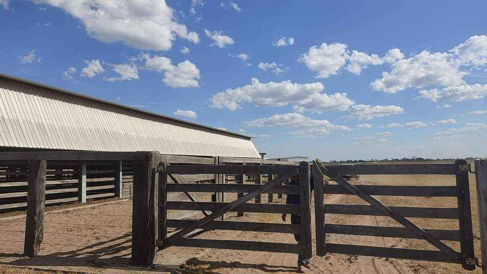 Fazenda à venda, 1040m² - Foto 6