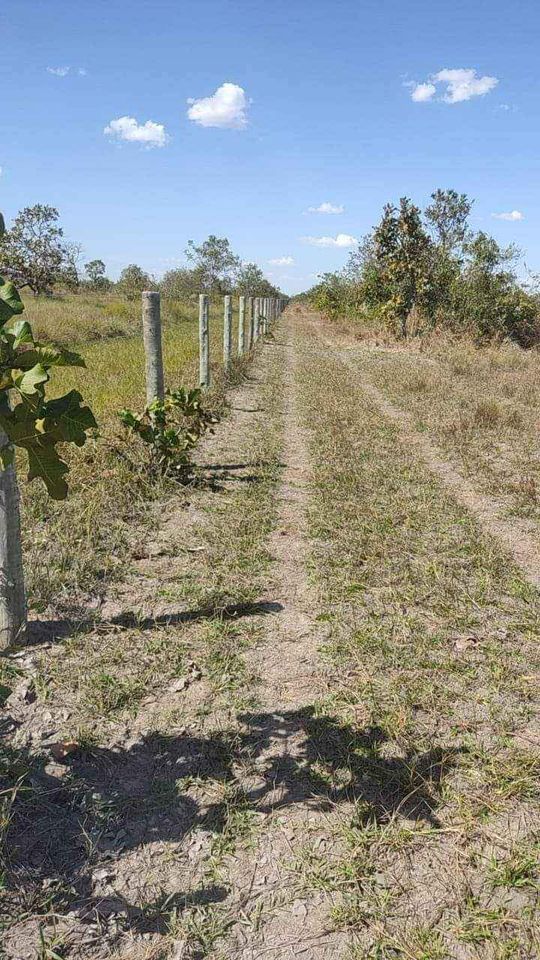 Fazenda à venda, 1040m² - Foto 3