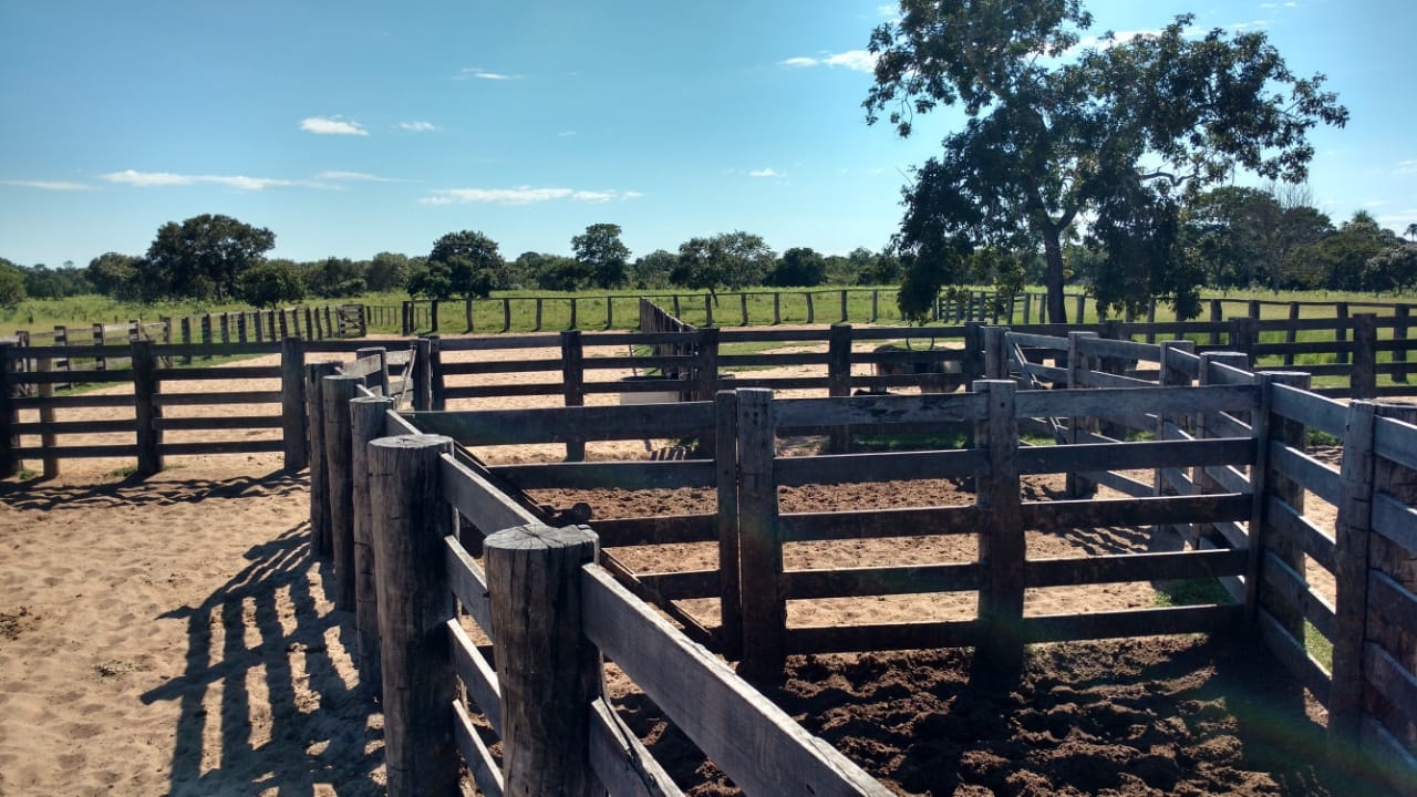 Fazenda à venda, 6321m² - Foto 20