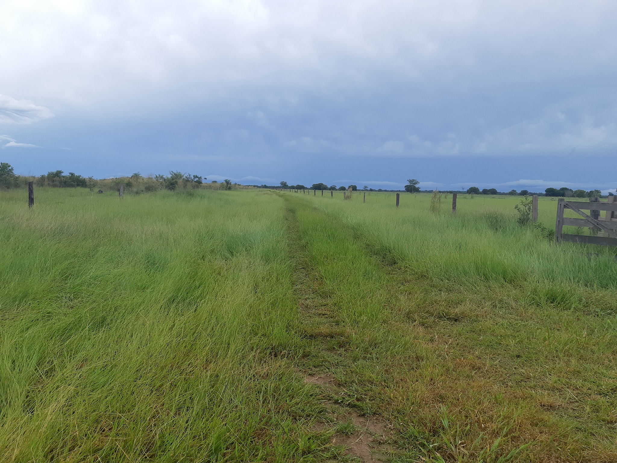 Fazenda à venda, 6321m² - Foto 18