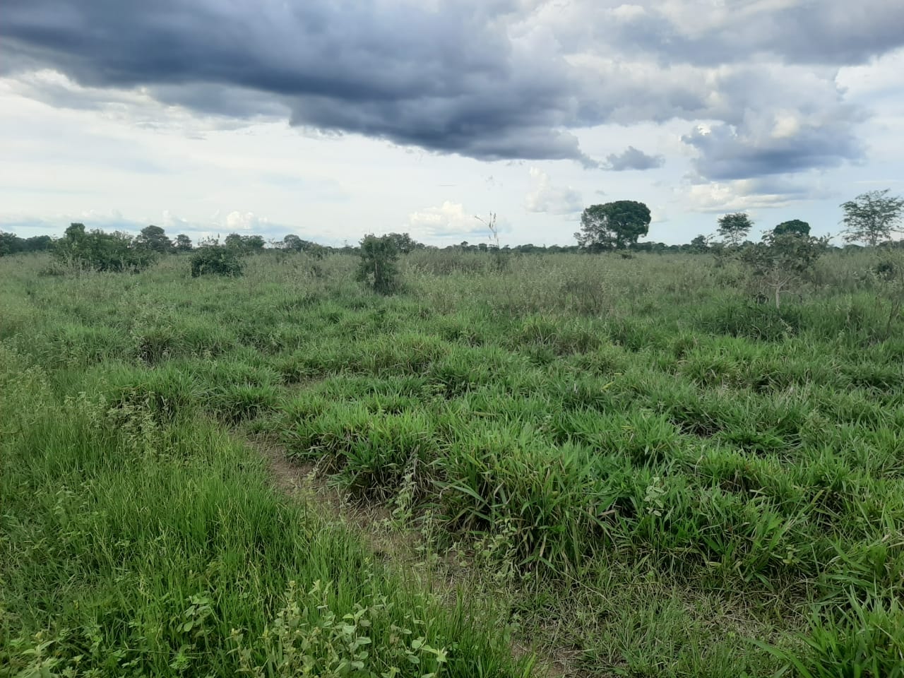 Fazenda à venda, 6321m² - Foto 5