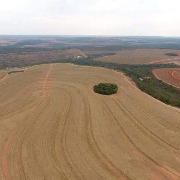 Fazenda à venda, 10000m² - Foto 1