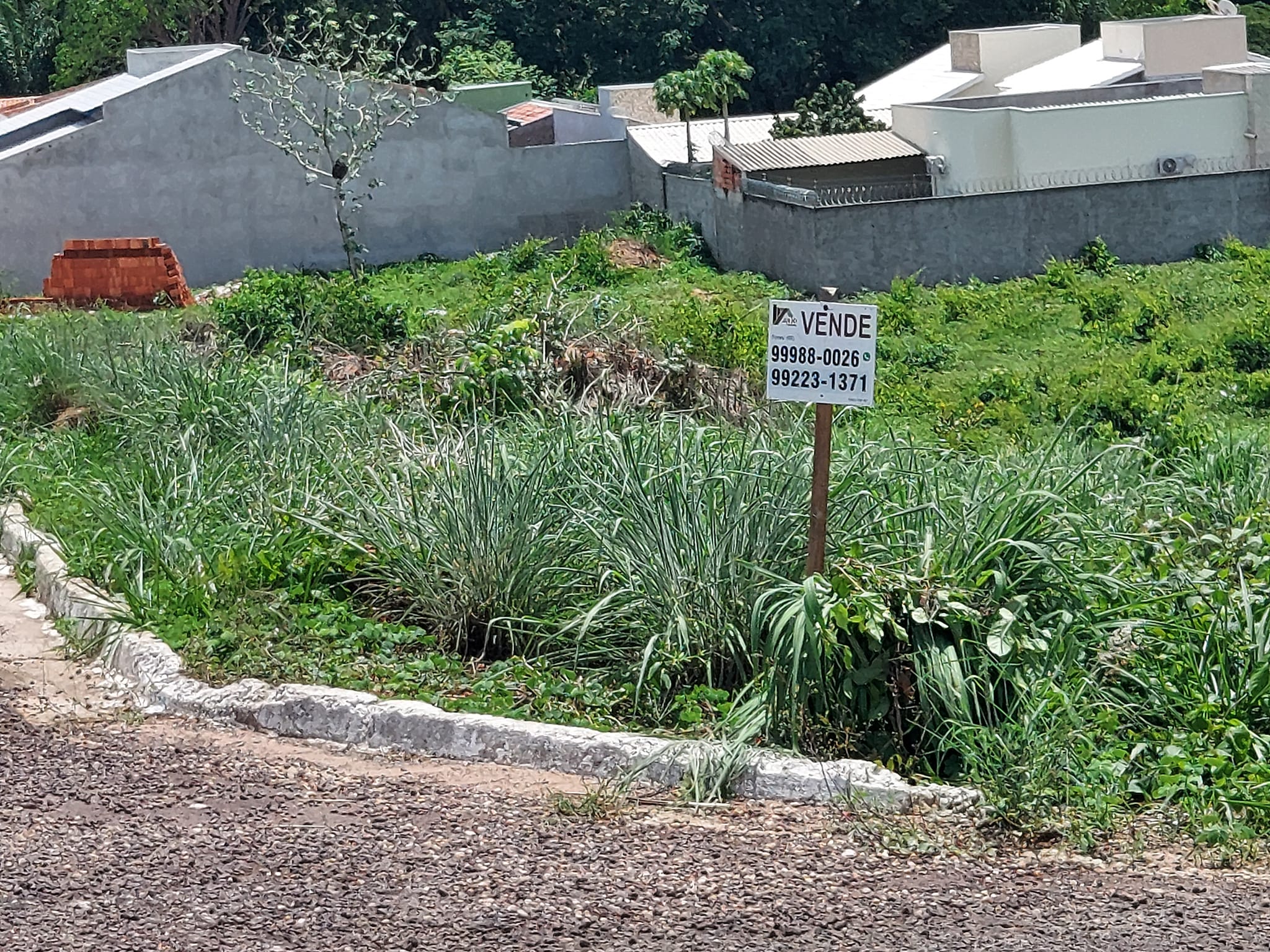 Terreno à venda, 250m² - Foto 3