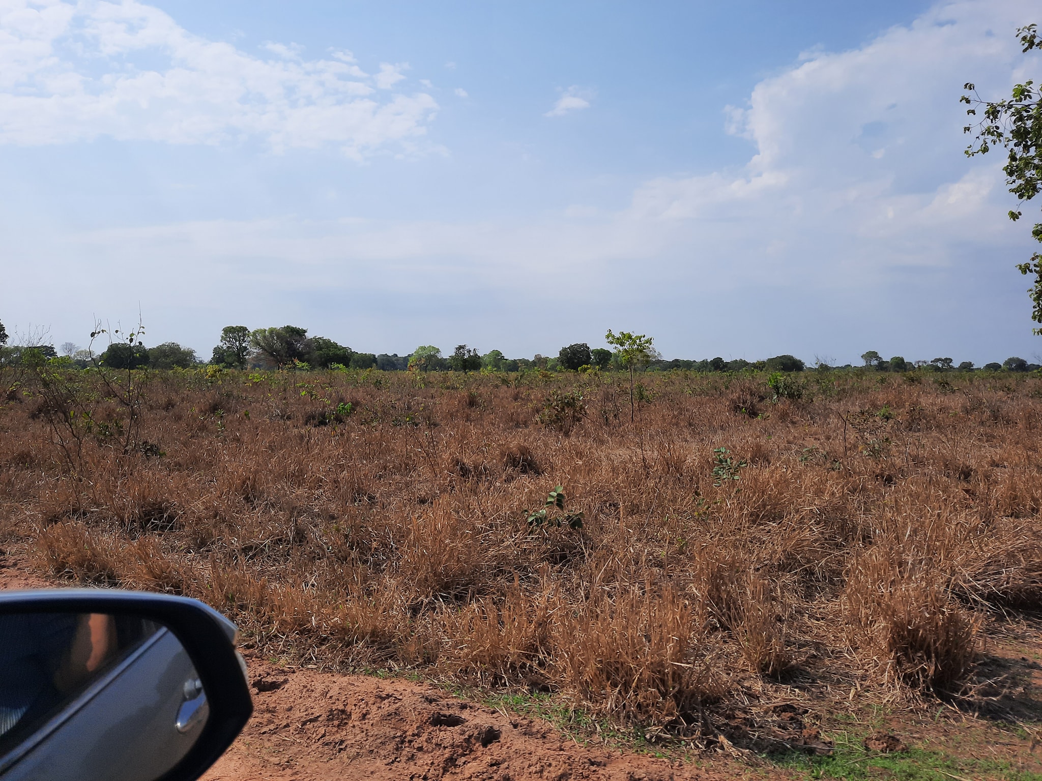 Fazenda à venda, 10000m² - Foto 15