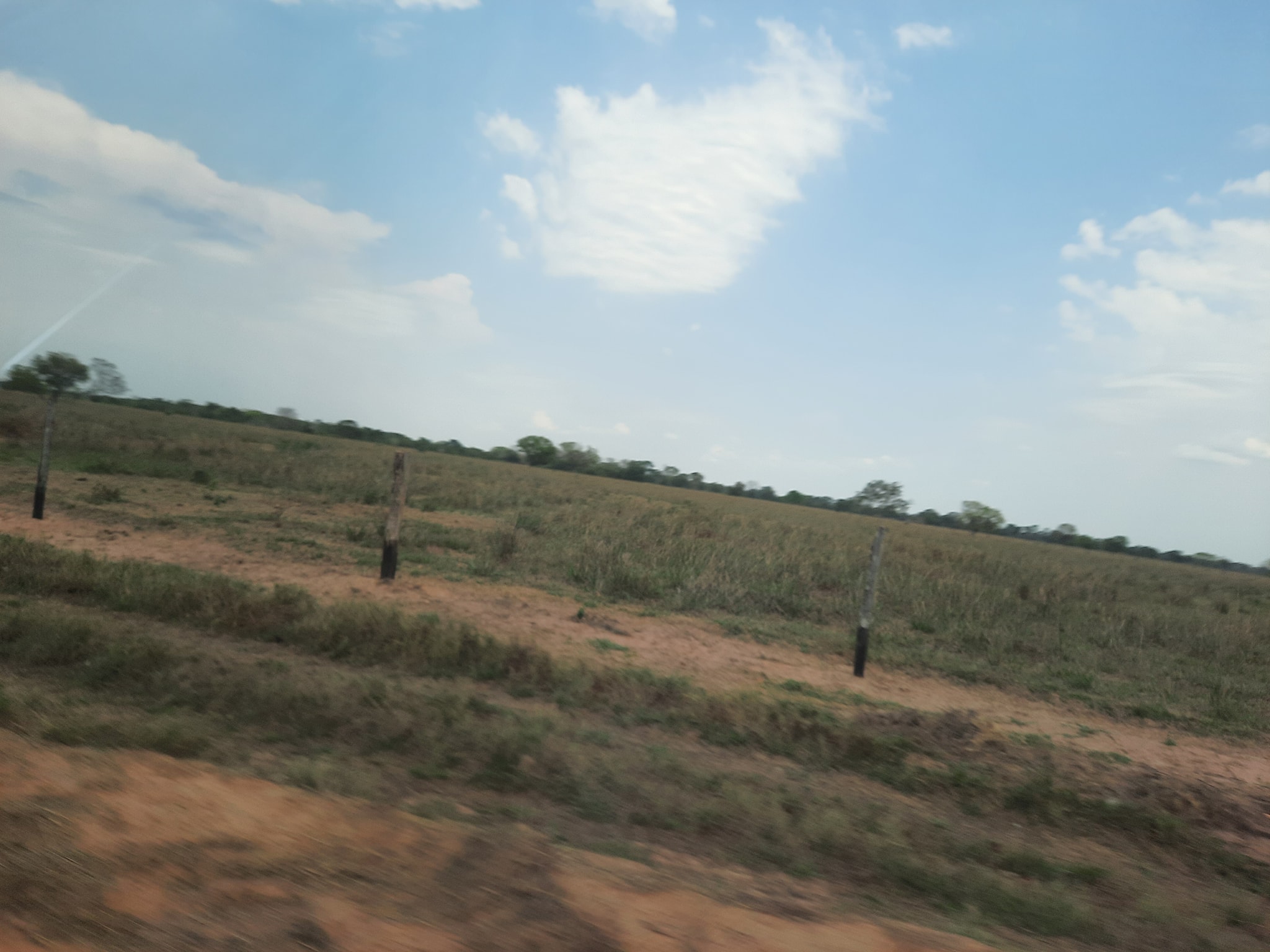 Fazenda à venda, 10000m² - Foto 5