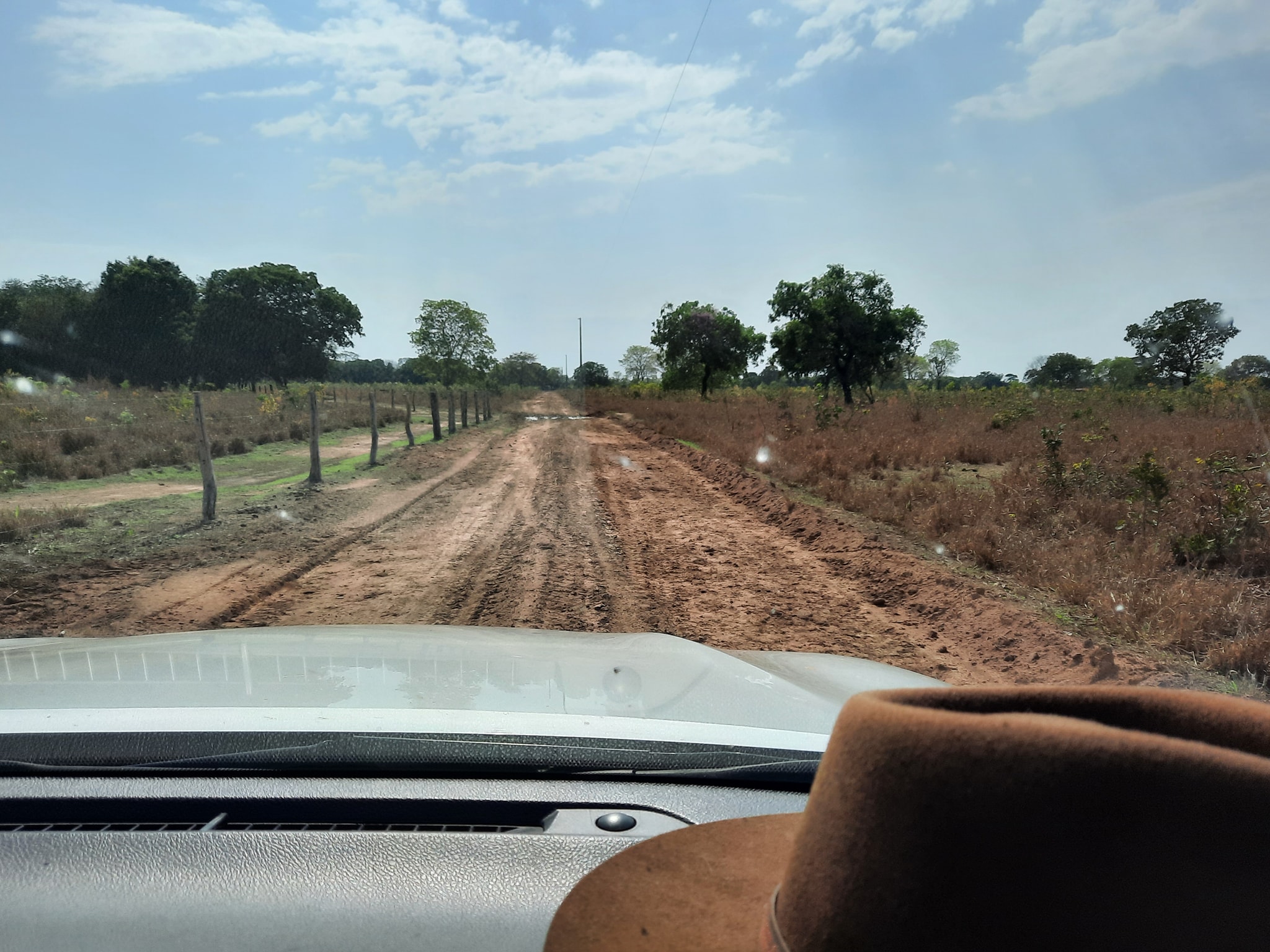 Fazenda à venda, 10000m² - Foto 6