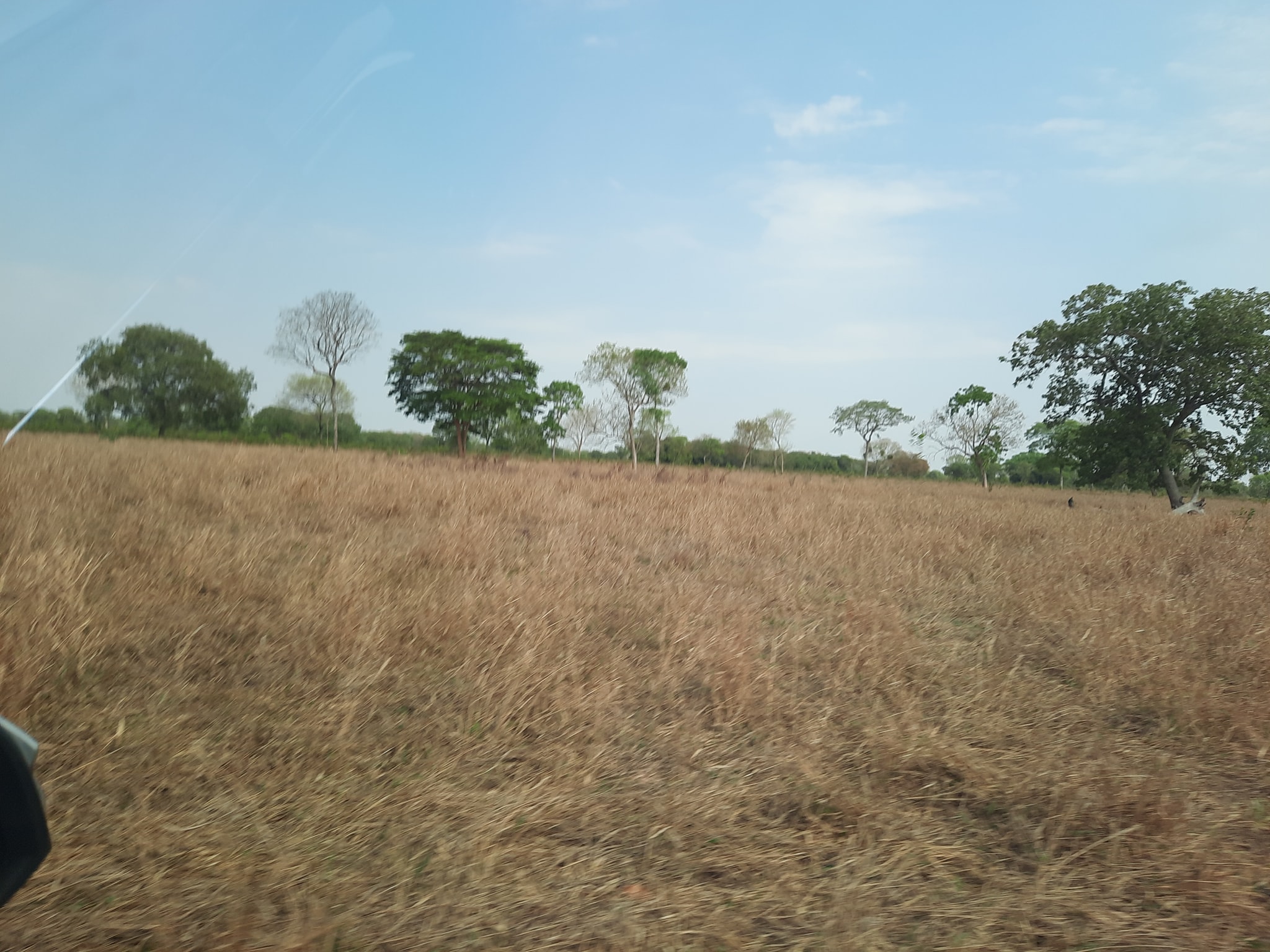 Fazenda à venda, 10000m² - Foto 2