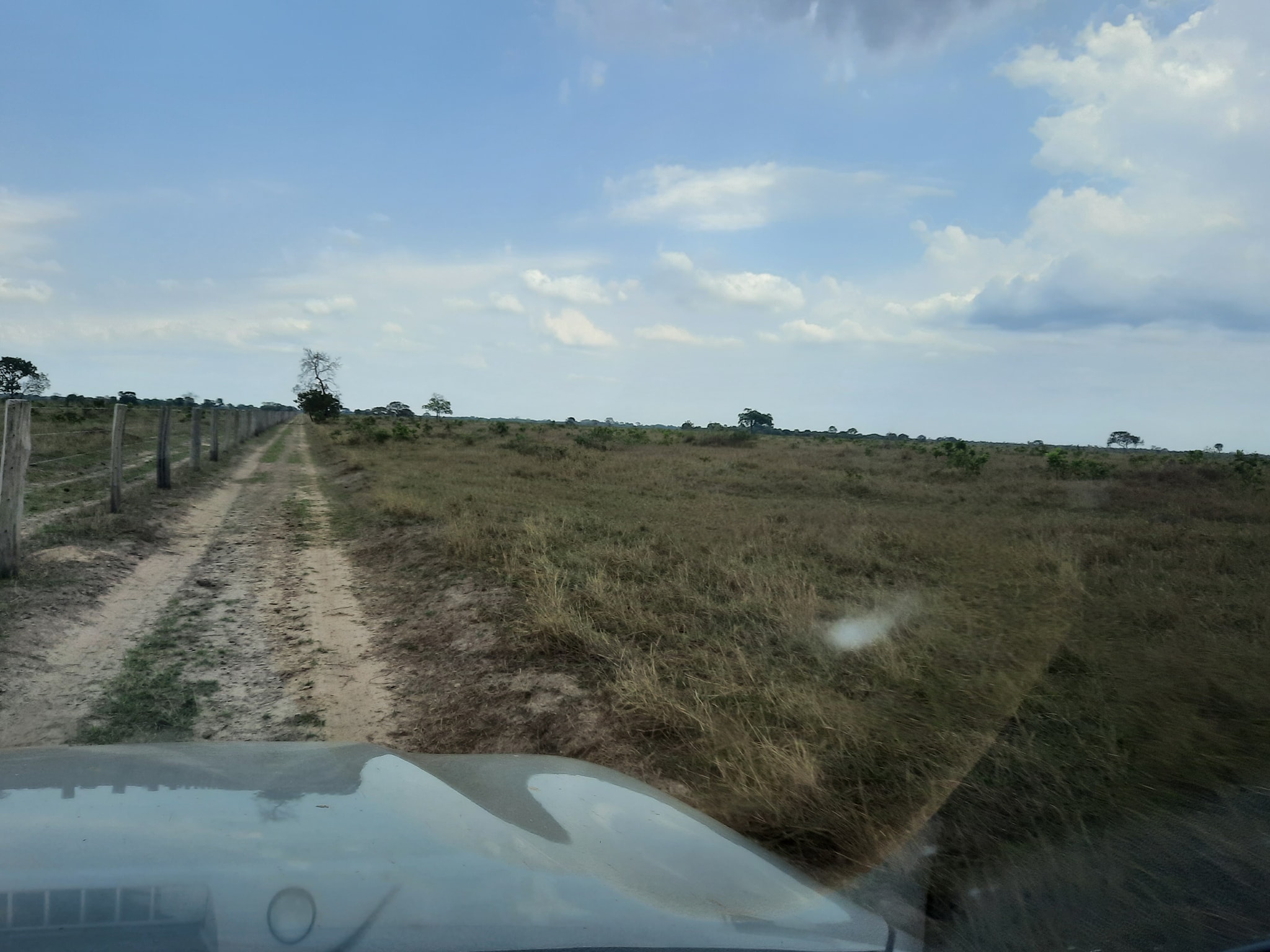 Fazenda à venda, 10000m² - Foto 7