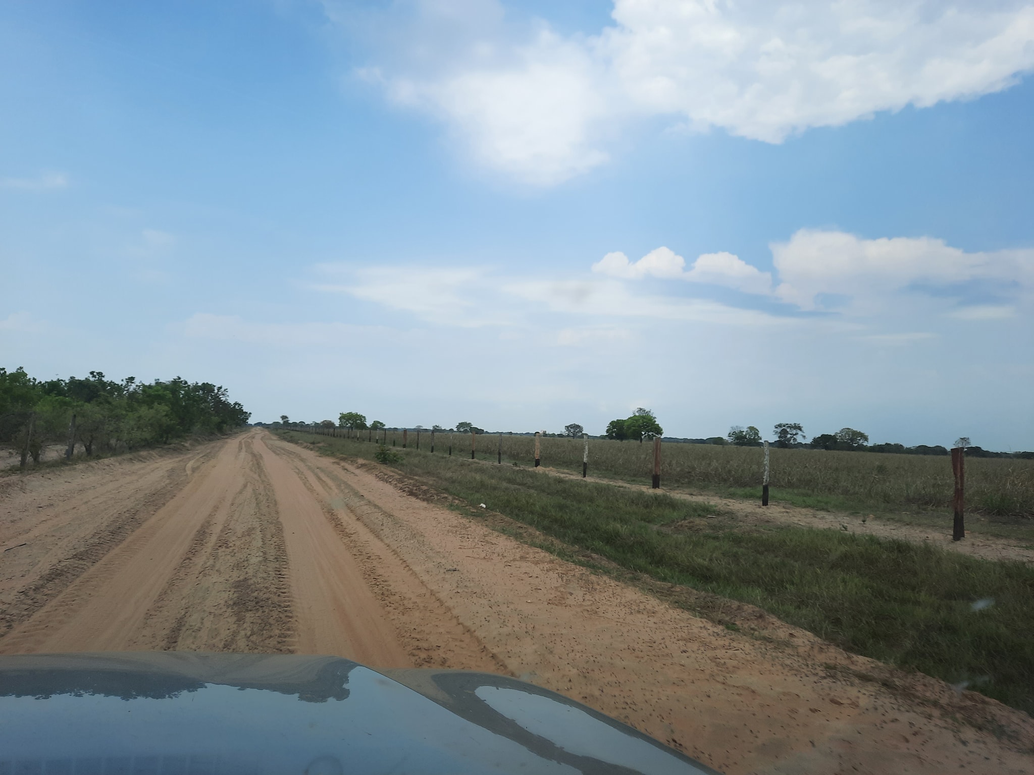 Fazenda à venda, 10000m² - Foto 11