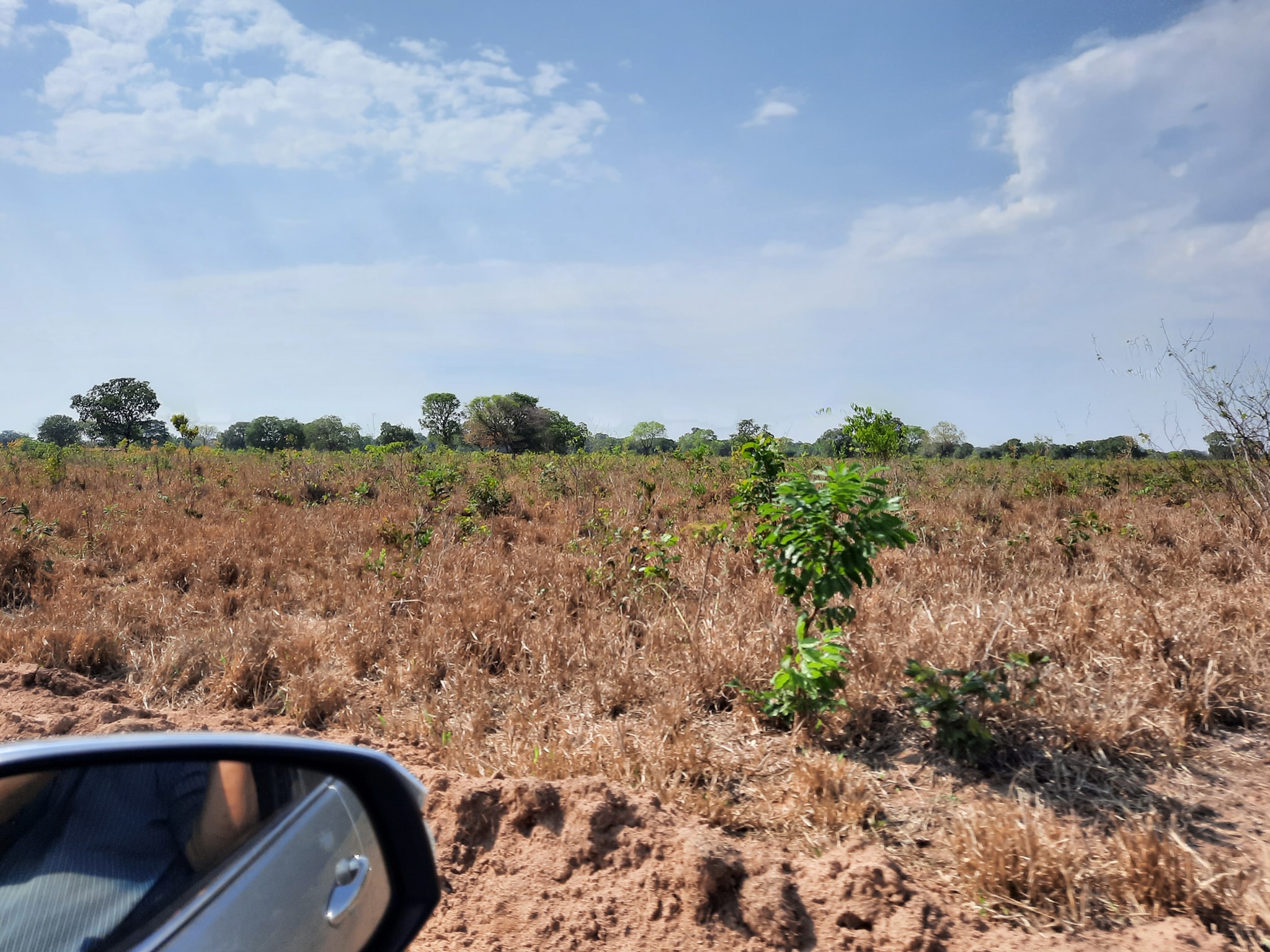 Fazenda à venda, 10000m² - Foto 12