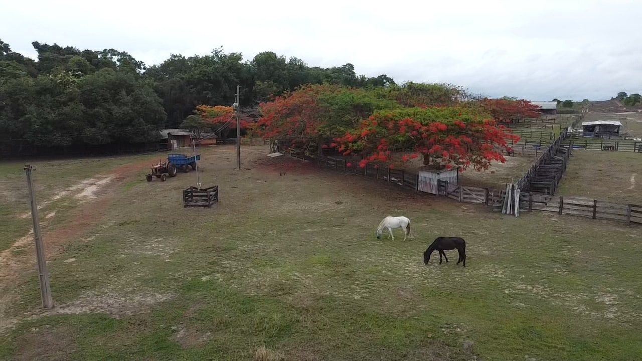 Fazenda à venda, 6400m² - Foto 12