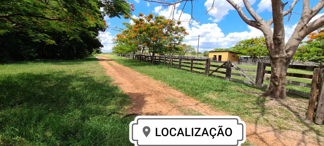 Fazenda à venda, 6400m² - Foto 15