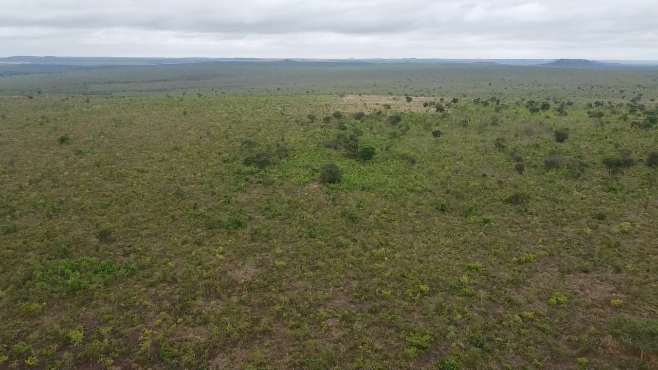 Fazenda à venda, 6400m² - Foto 6