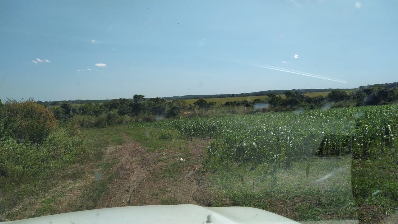 Fazenda à venda, 4200m² - Foto 3