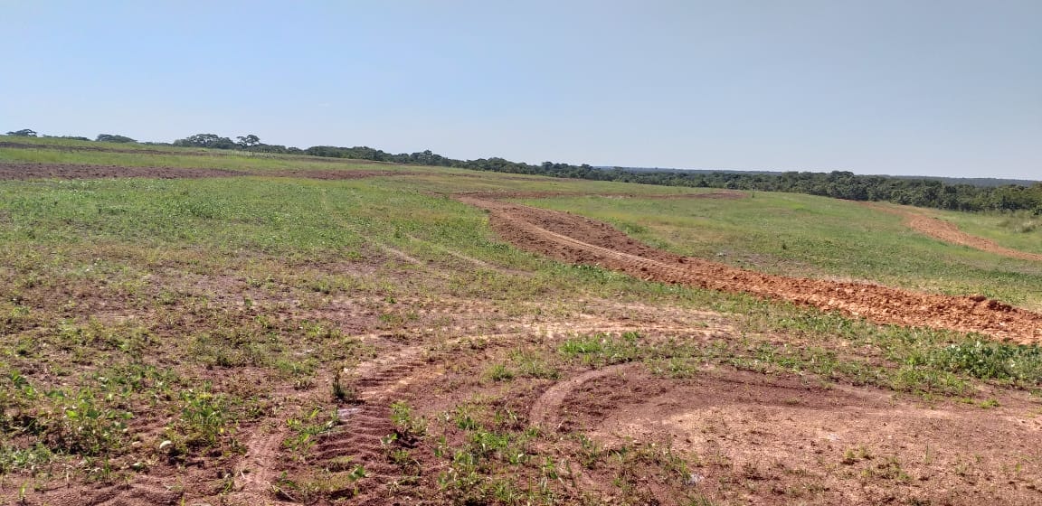 Fazenda à venda, 4200m² - Foto 7