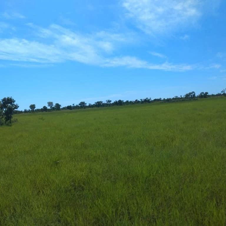 Fazenda à venda, 7500m² - Foto 13