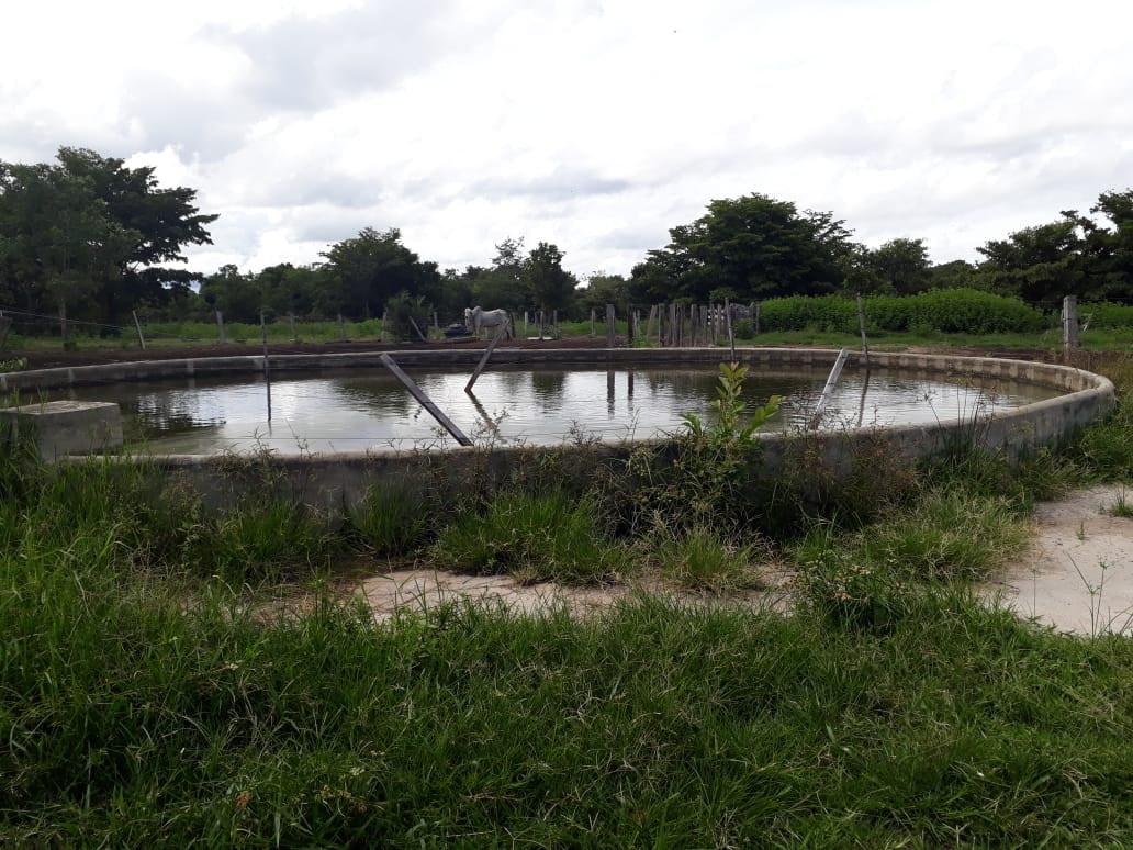 Fazenda à venda, 1936m² - Foto 7