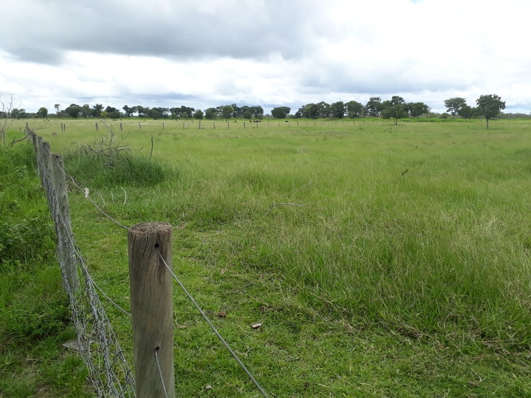 Fazenda à venda, 1936m² - Foto 5